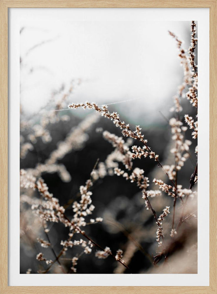 Onbekend 10 | Poster