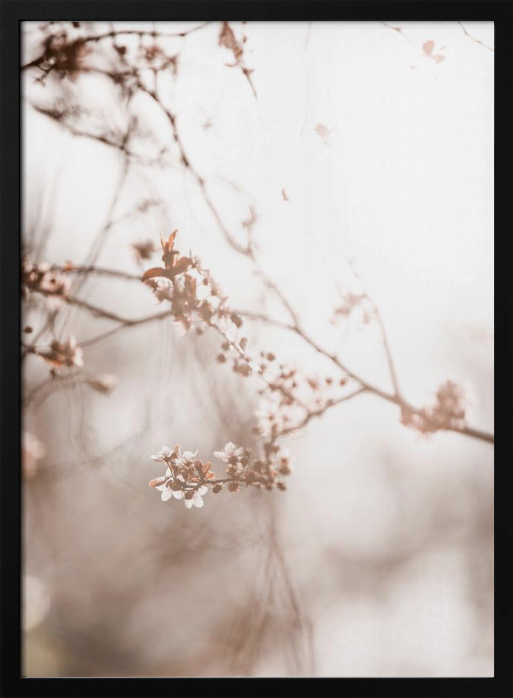 Laatste Lente 3 | Poster