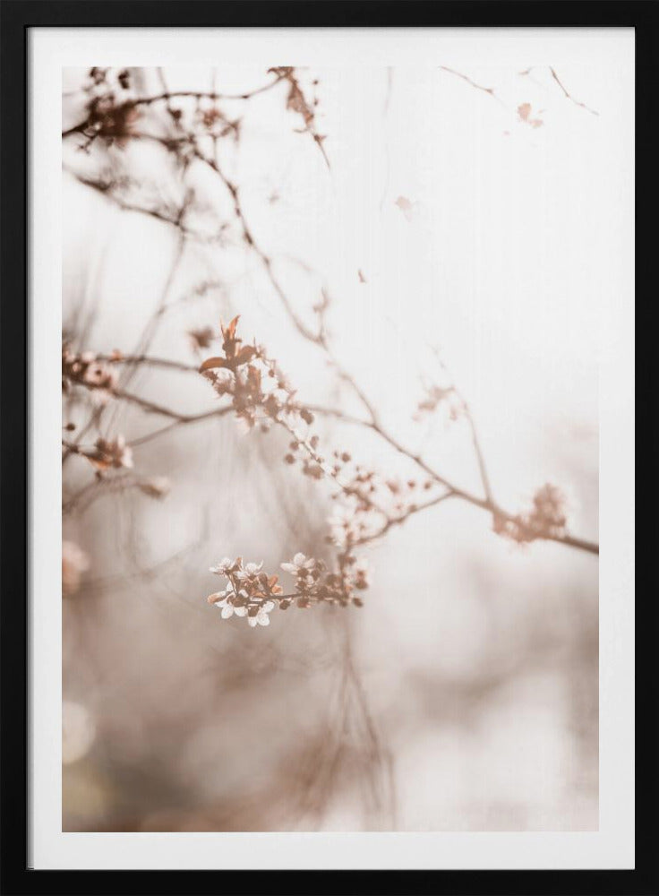 Laatste Lente 3 | Poster