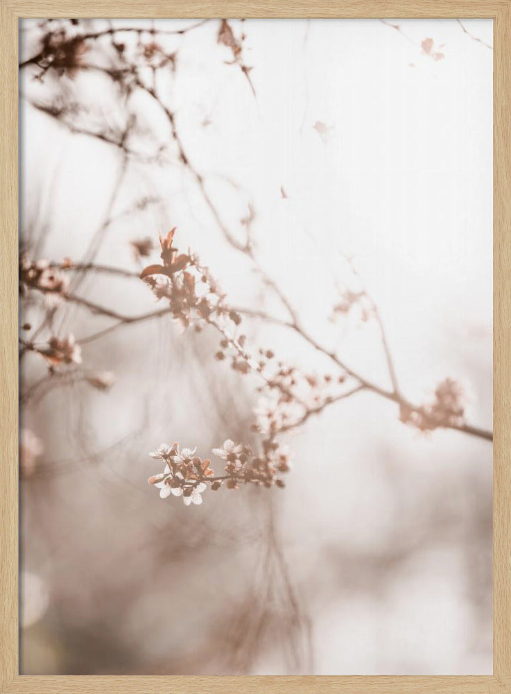 Laatste Lente 3 | Poster