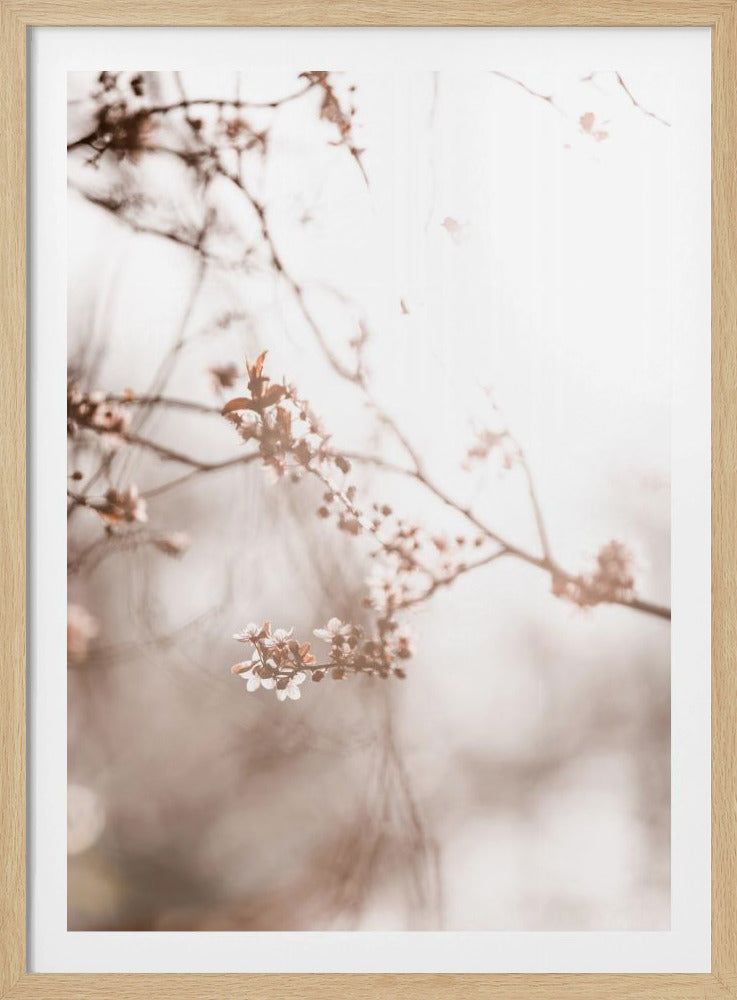Laatste Lente 3 | Poster