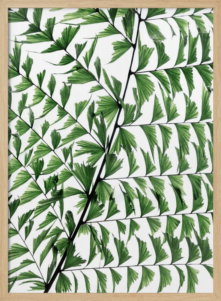 Zomertakken 4 | Poster
