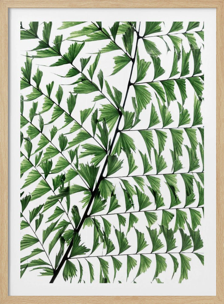 Zomertakken 4 | Poster