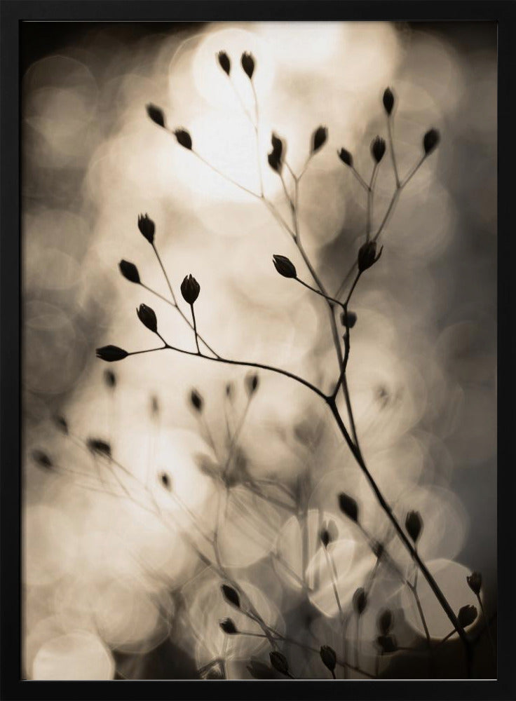 Zonnesilhouetten 1 | Poster
