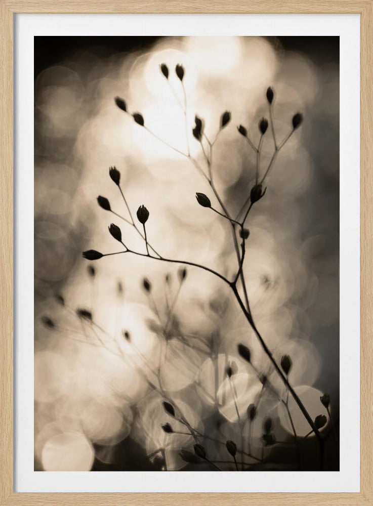Zonnesilhouetten 1 | Poster