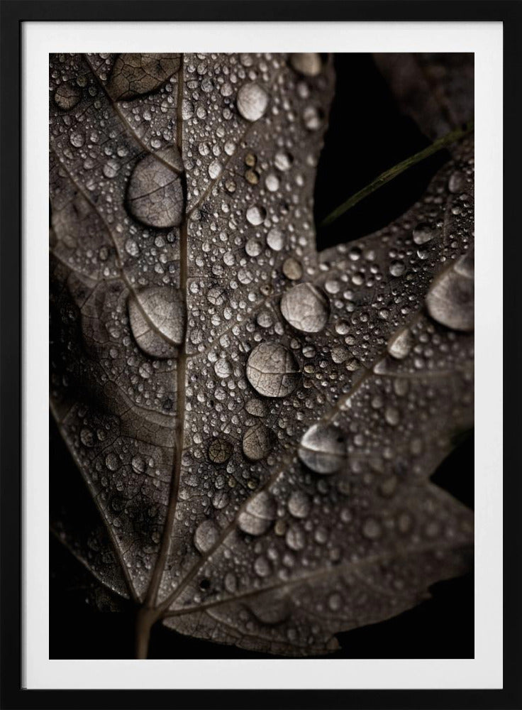 Regenachtige herfst | Poster