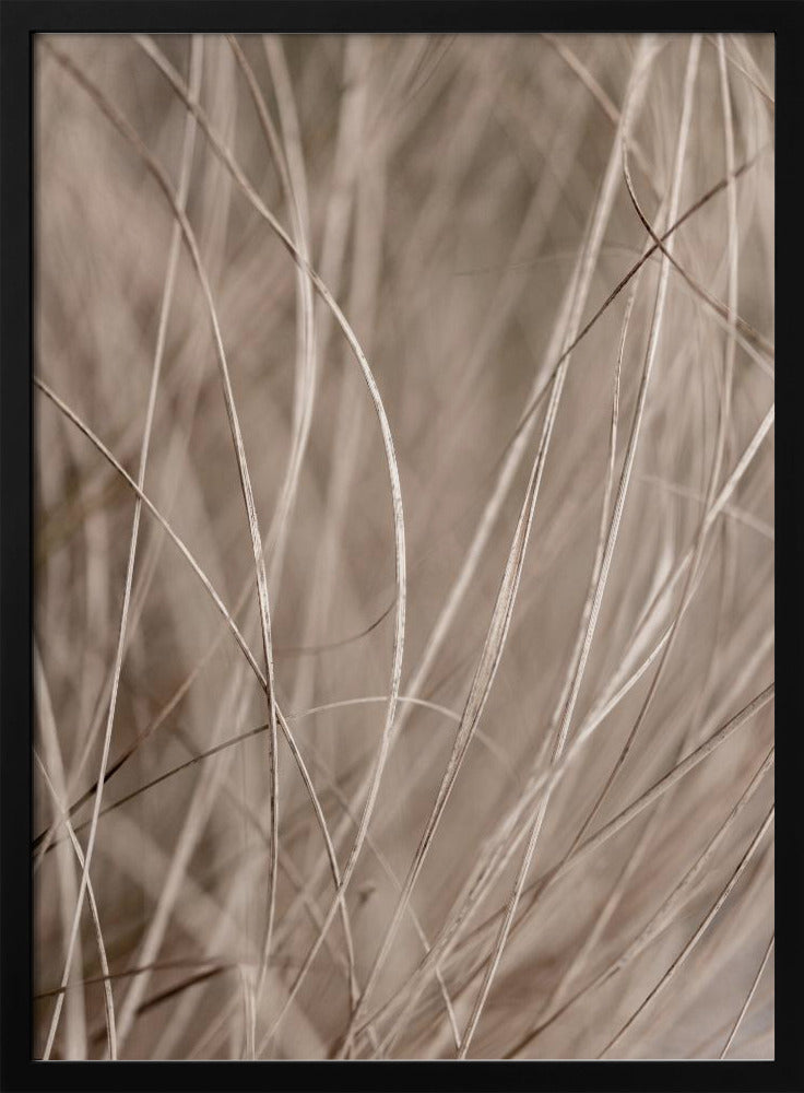 Summer Grass 3 | Poster