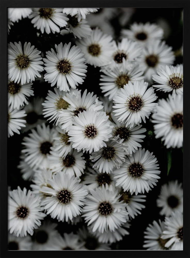 Tiny Flowers 3 | Poster