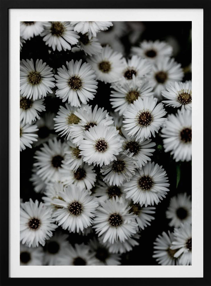 Tiny Flowers 3 | Poster