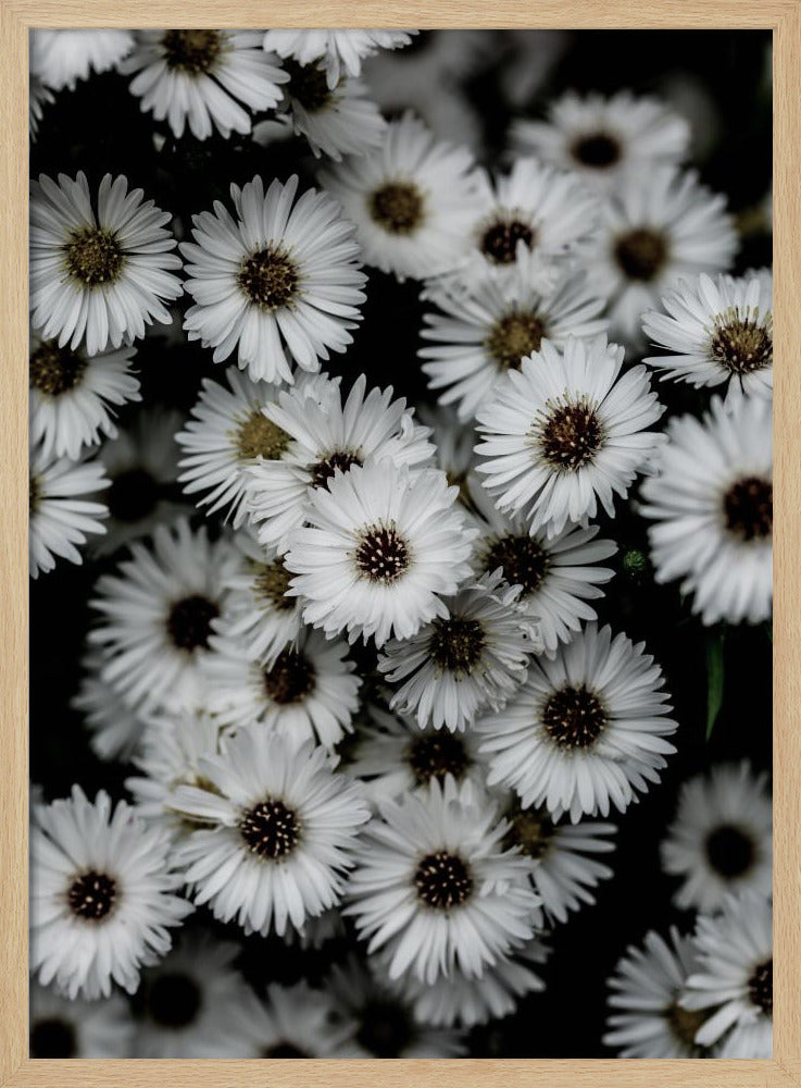 Tiny Flowers 3 | Poster