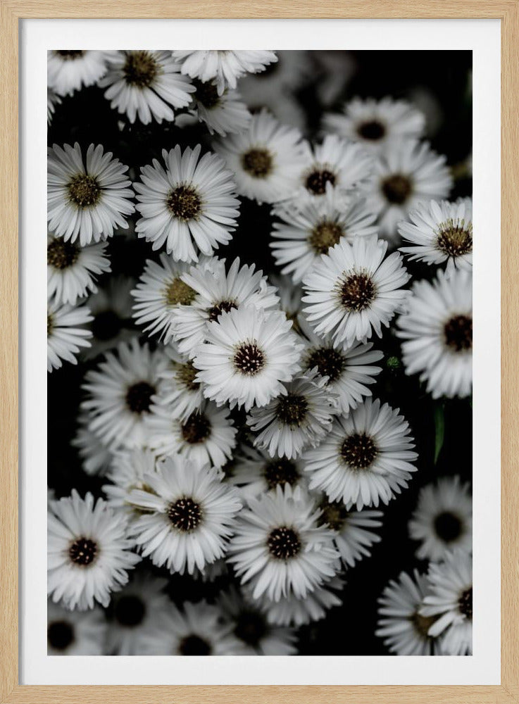 Tiny Flowers 3 | Poster