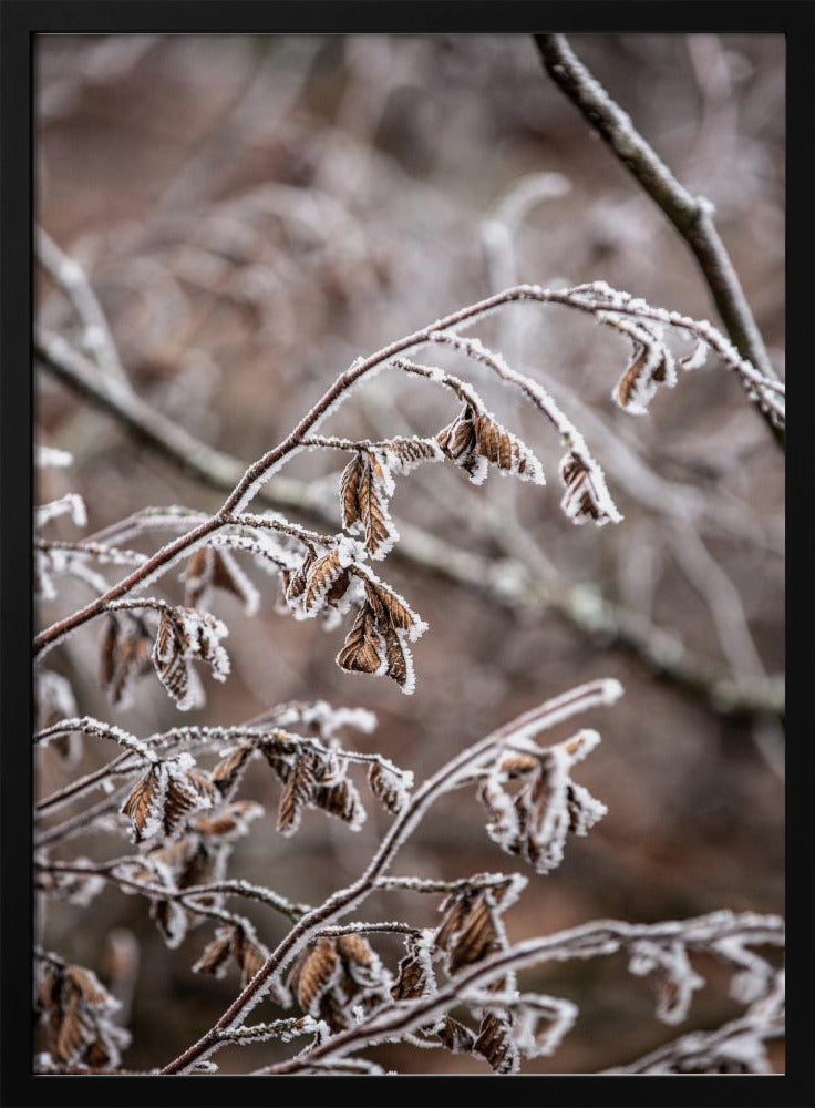 Wintertakken 18 | Poster