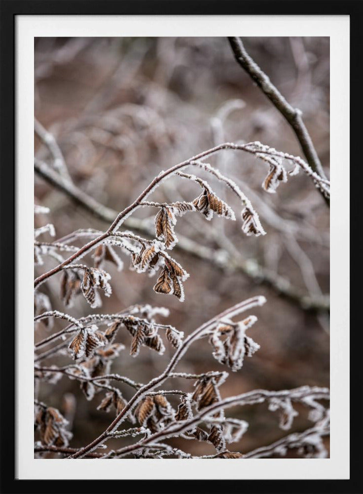 Wintertakken 18 | Poster