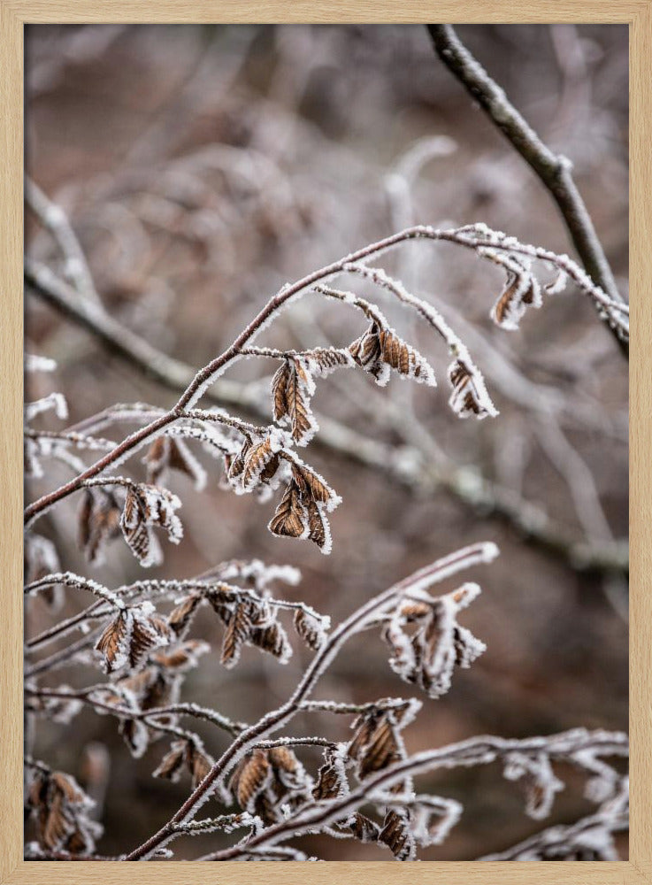 Wintertakken 18 | Poster