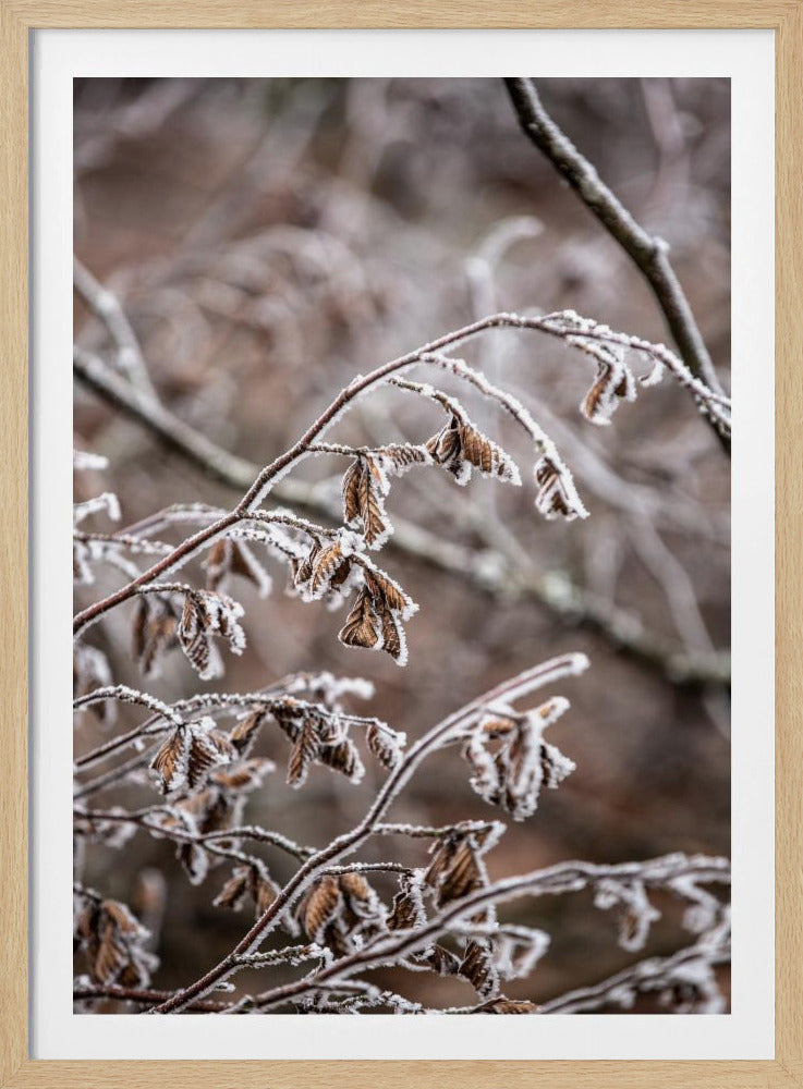 Wintertakken 18 | Poster