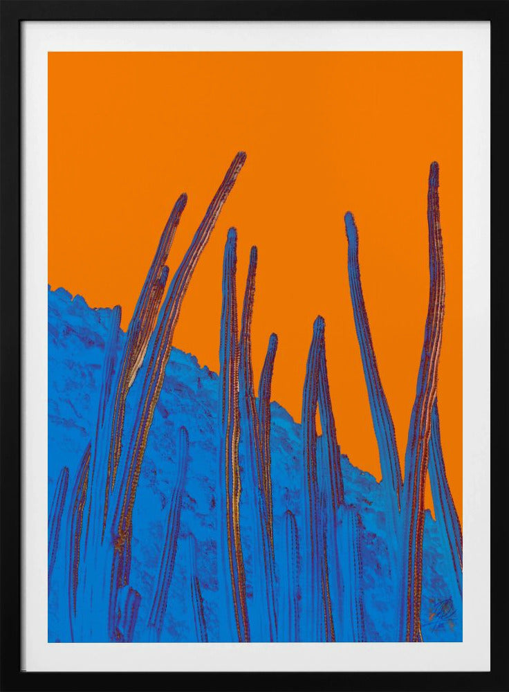 Antennes | Poster