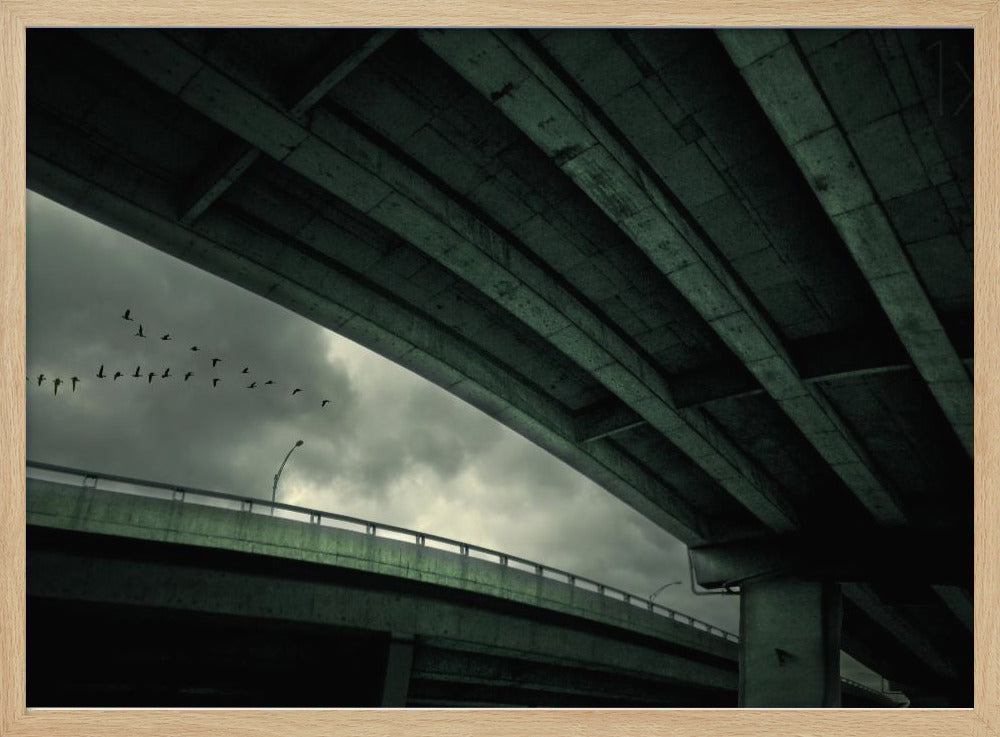 Laatste vlucht | Poster