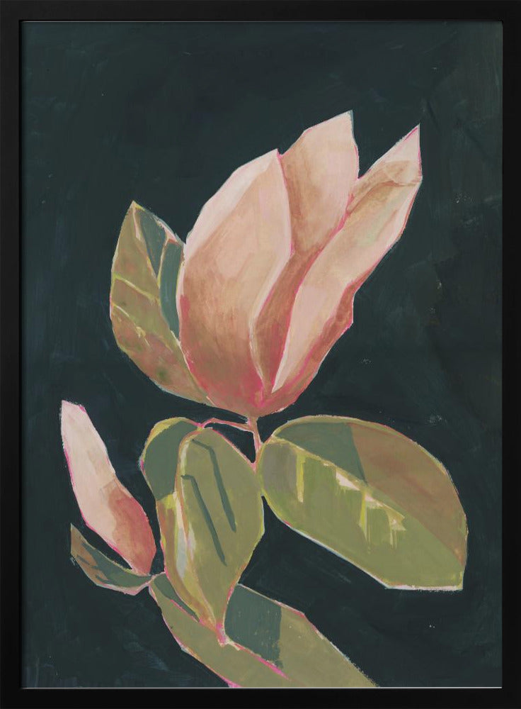 Magnolia op donkere achtergrond | Poster