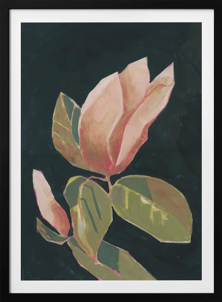 Magnolia op donkere achtergrond | Poster
