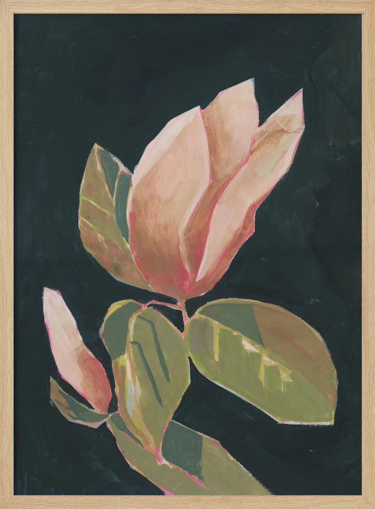 Magnolia op donkere achtergrond | Poster