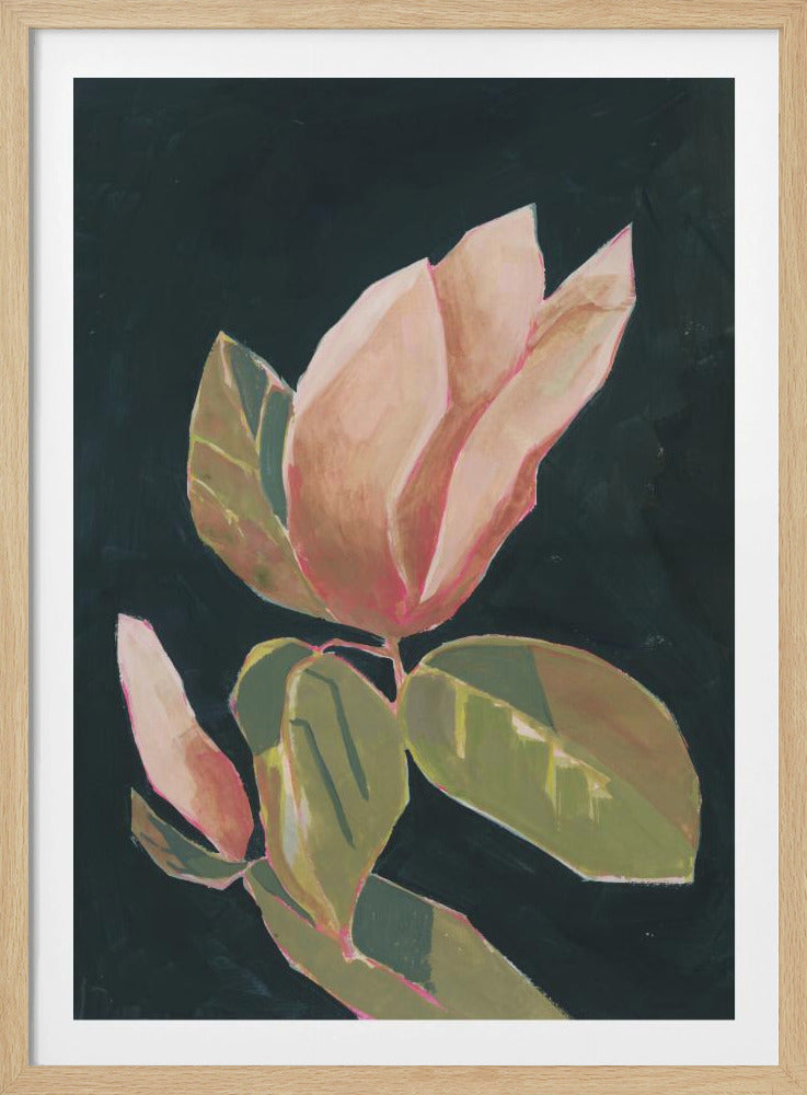 Magnolia op donkere achtergrond | Poster