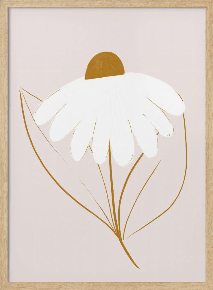 Witte Margriet | Poster