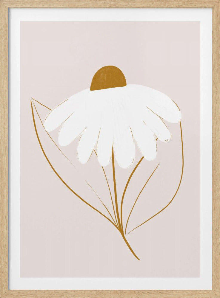 Witte Margriet | Poster