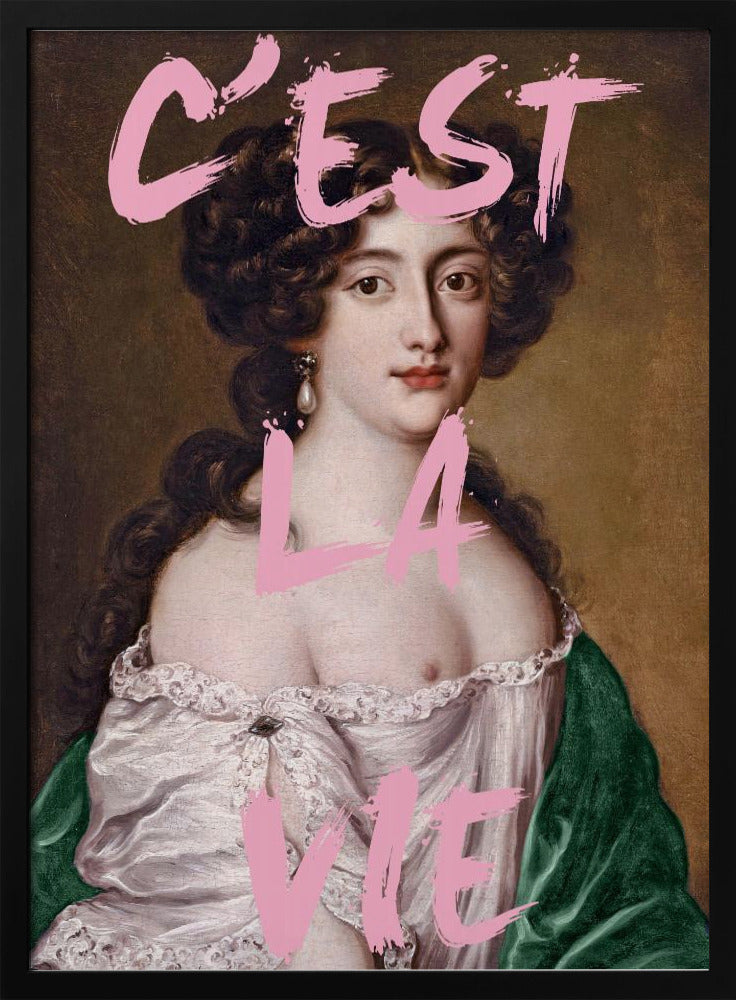Cestlavie3 Verhouding 2x3 | Poster