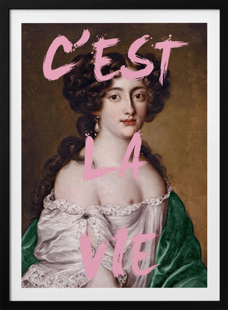 Cestlavie3 Verhouding 2x3 | Poster