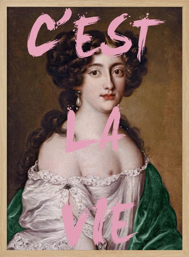 Cestlavie3 Verhouding 2x3 | Poster