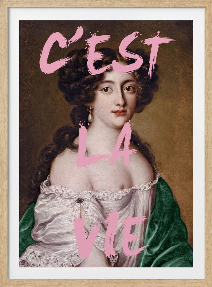 Cestlavie3 Verhouding 2x3 | Poster