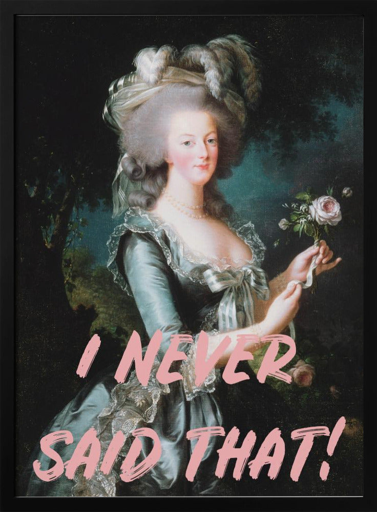 Ineversaidthat-verhouding 2x3 | Poster