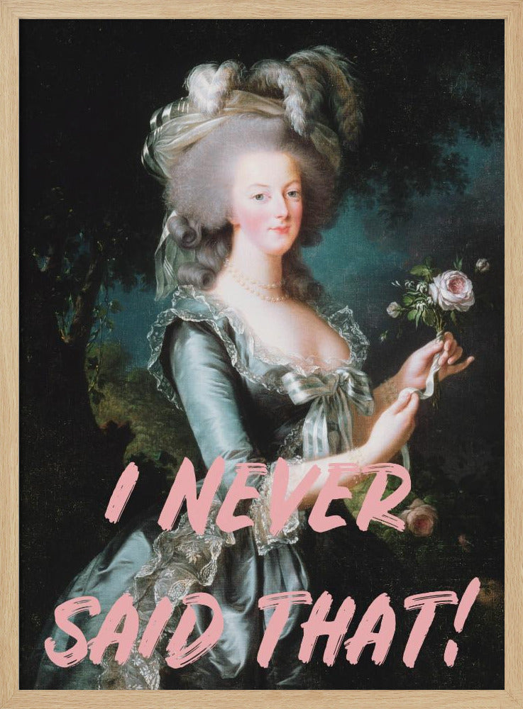 Ineversaidthat-verhouding 2x3 | Poster