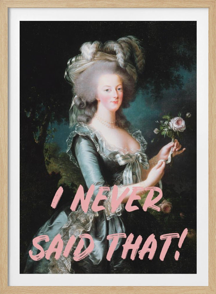 Ineversaidthat-verhouding 2x3 | Poster