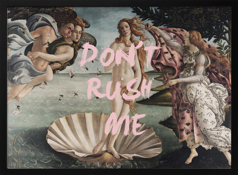 Venusdontrushme-verhouding 2x3 | Poster