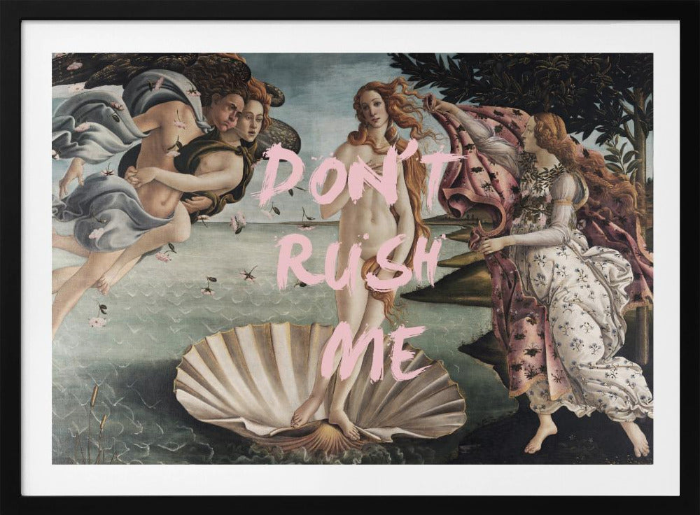 Venusdontrushme-verhouding 2x3 | Poster