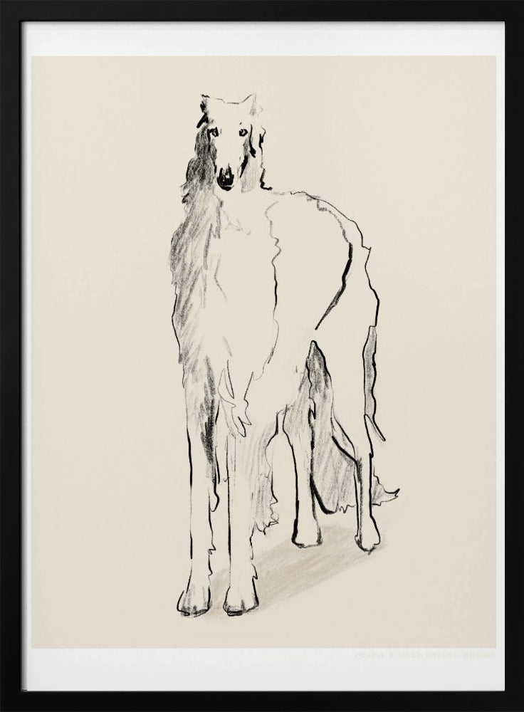 Borzoi Russische Wolfshond Pandc | Poster