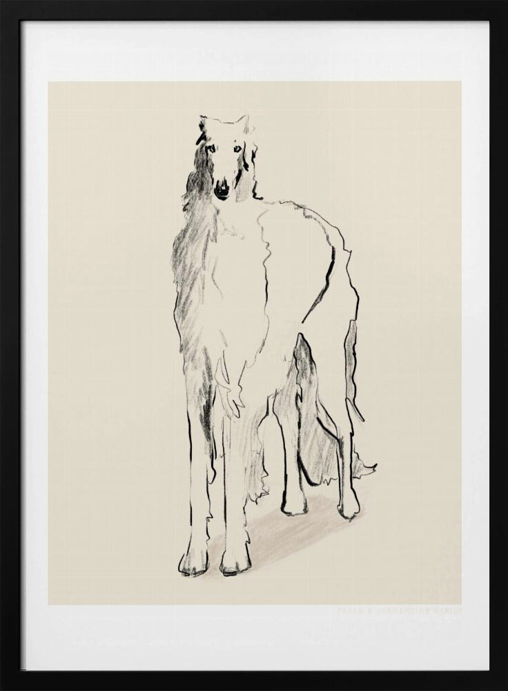 Borzoi Russische Wolfshond Pandc | Poster