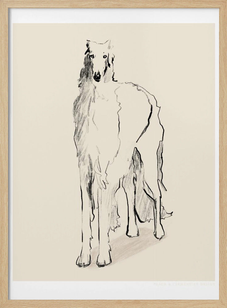 Borzoi Russische Wolfshond Pandc | Poster