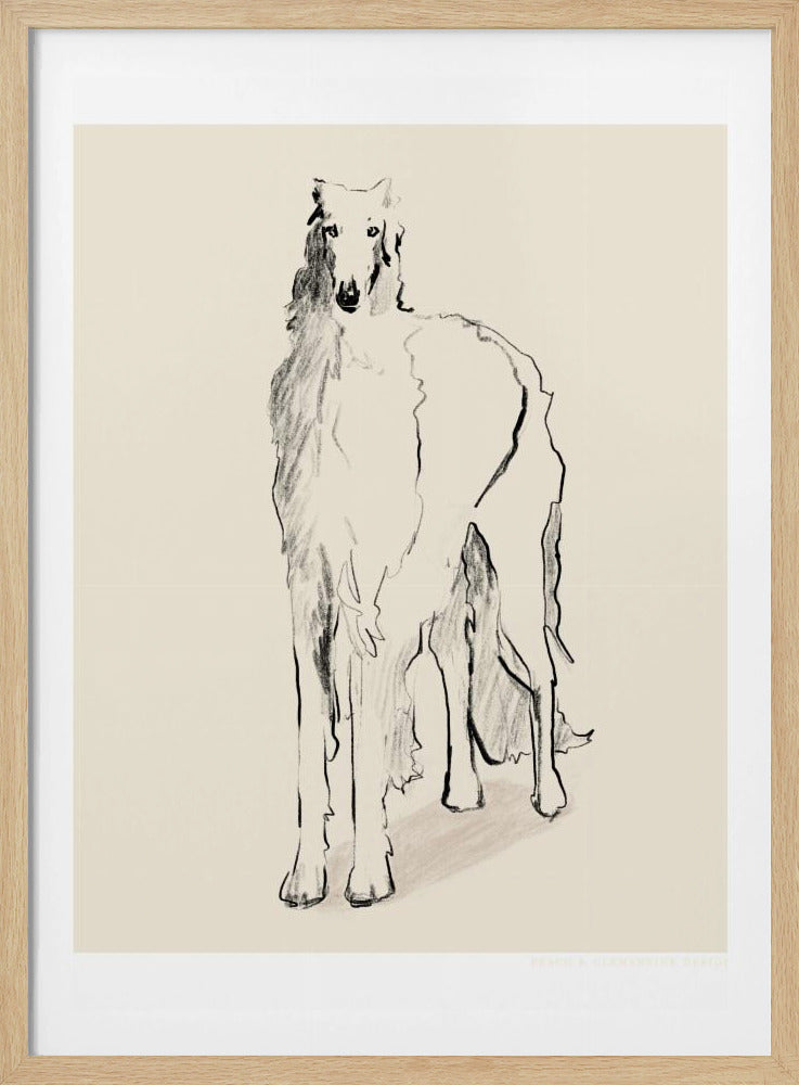 Borzoi Russische Wolfshond Pandc | Poster