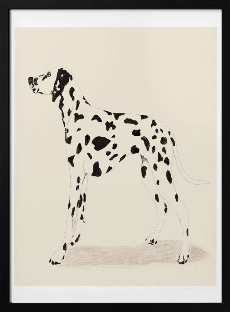 Pandc Dalmatiër | Poster