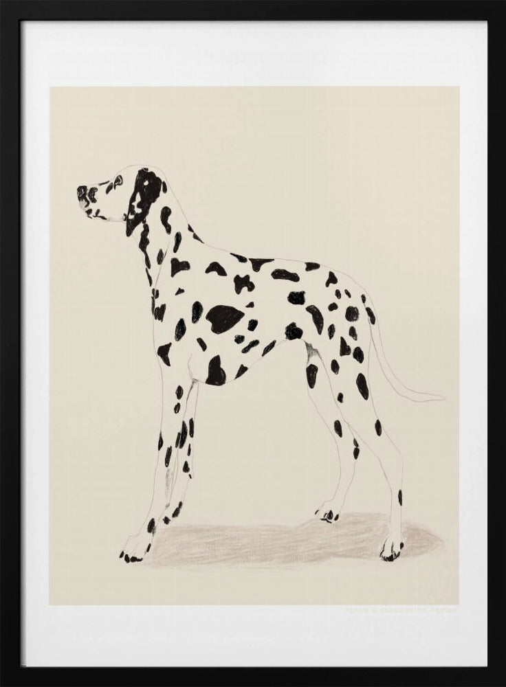 Pandc Dalmatiër | Poster