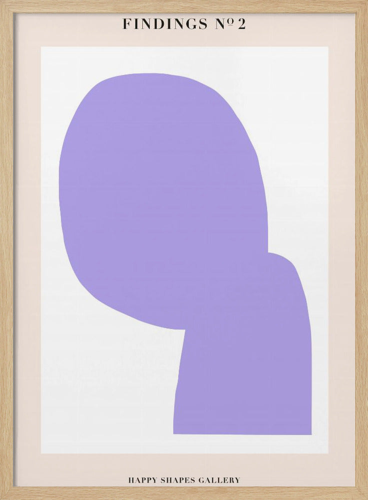Bevindingen 02 | Poster