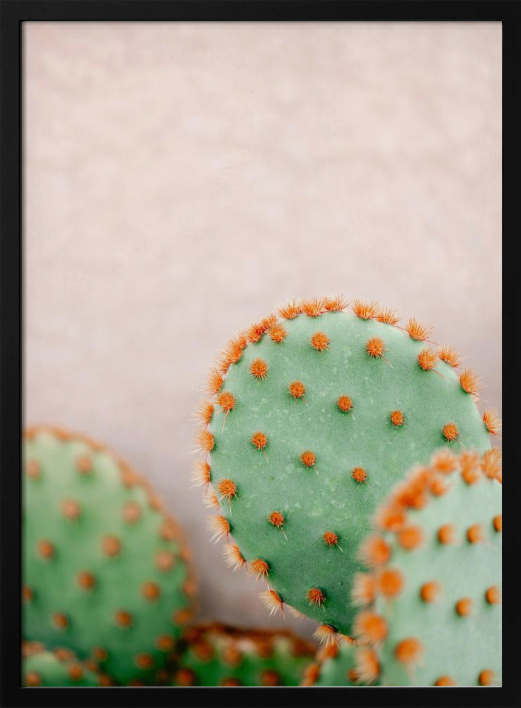 Cactussen Pasteltinten | Poster