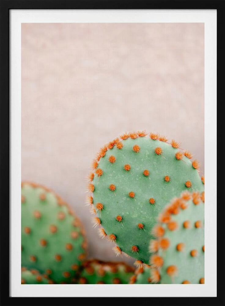 Cactussen Pasteltinten | Poster