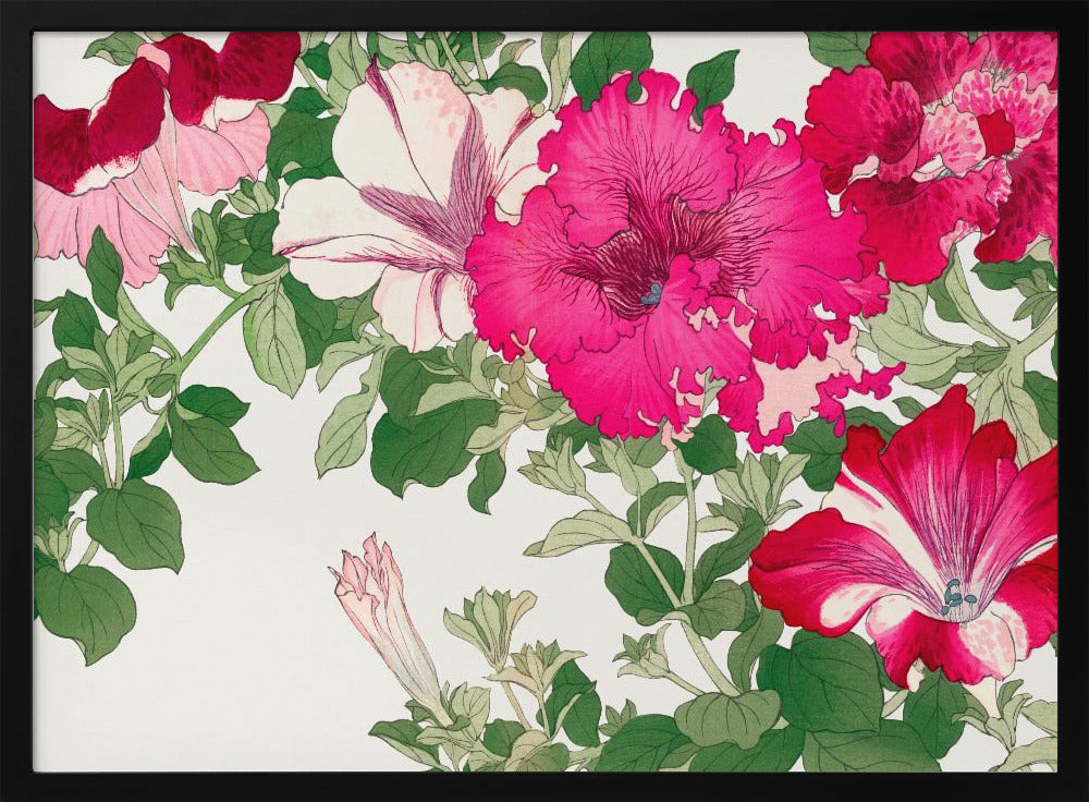 Vintage Petunia Flower No.2 | Poster