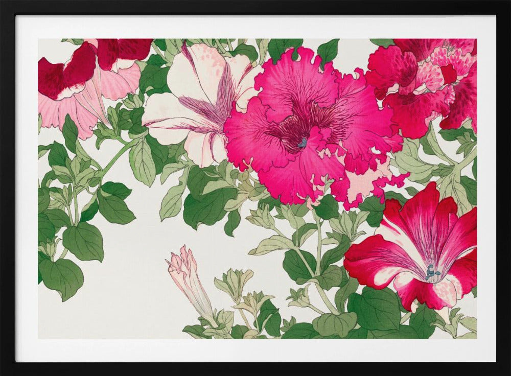 Vintage Petunia Flower No.2 | Poster