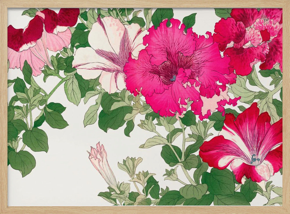 Vintage Petunia Flower No.2 | Poster