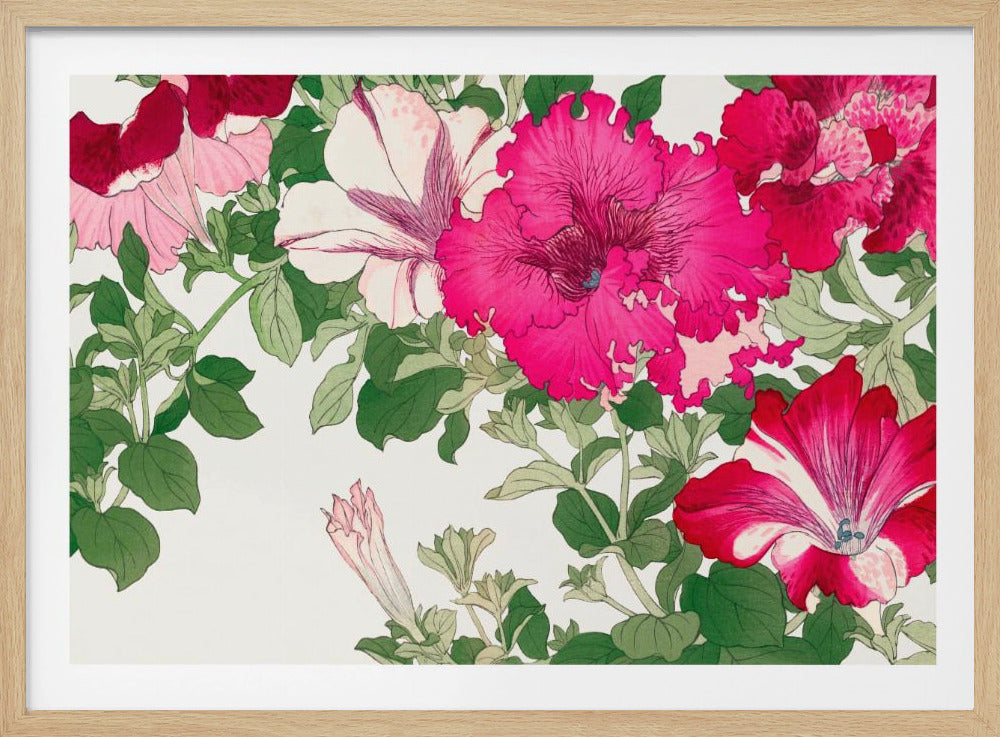 Vintage Petunia Flower No.2 | Poster