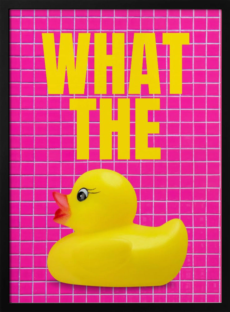 Eendenverrassing | Poster